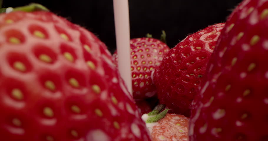 Extreme close-up, macro detailed of red strawberries of lie in yogurt. Sweet red berries covered with a white milky liquid. Pouring cream or yogurt over juicy fresh strawberries. 4K Royalty-Free Stock Footage #1103012415