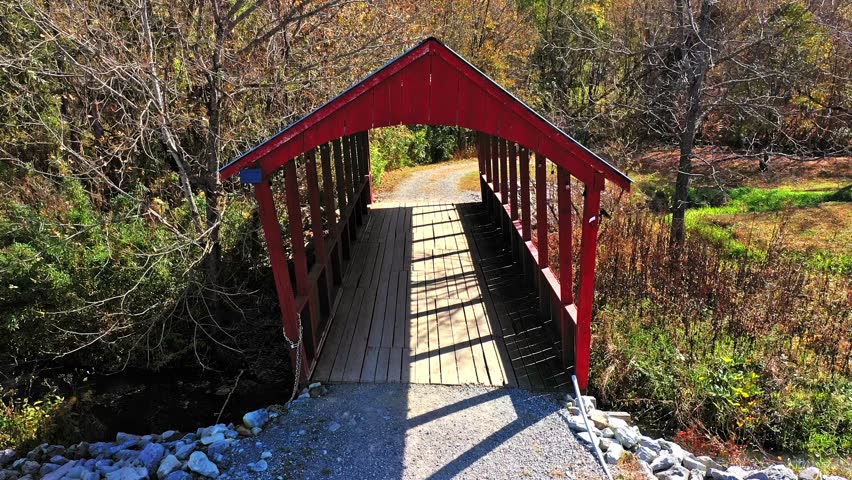 Bridge with red picturesque wooden roof in an autumn forest. Aerial shot.