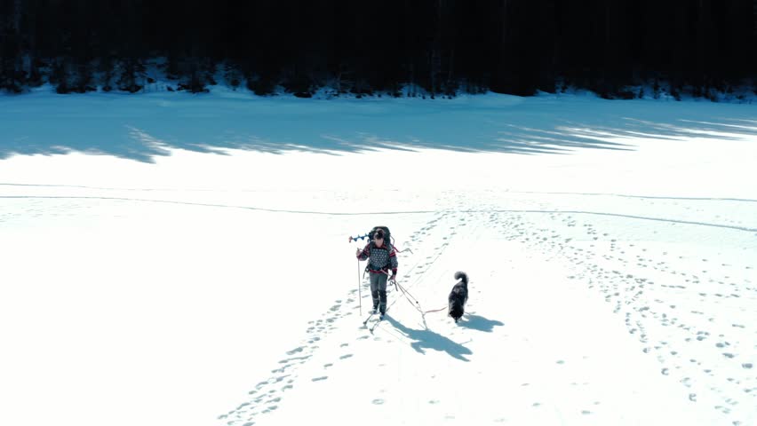Traveler With Dog Skiing On Snowy Land On A Sunny Winter Day. - aerial