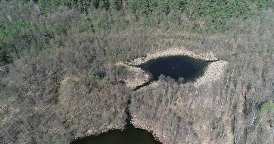 the forest lake has a strange shape
