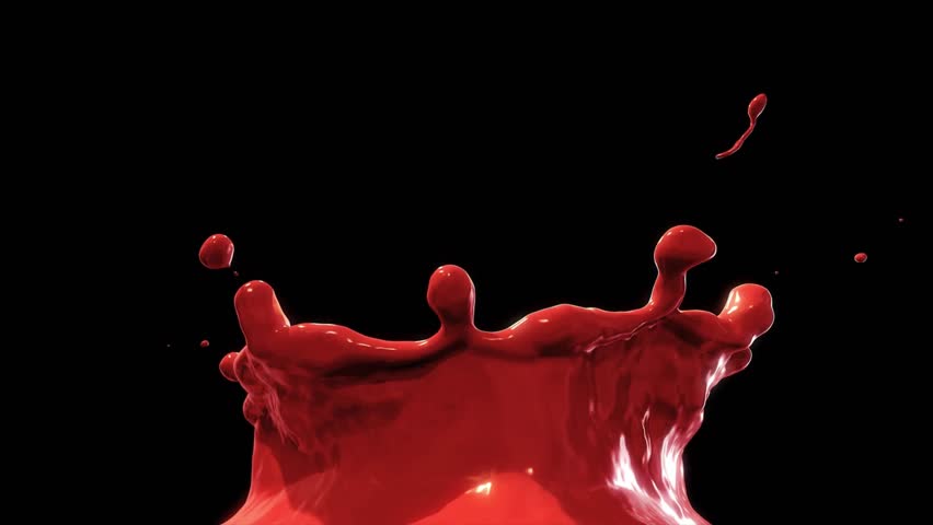 Shutterstock Video