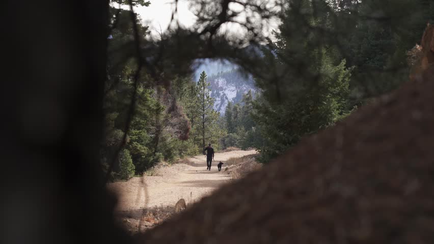 Through trees: Male hiker with dog on leash hikes along forest path