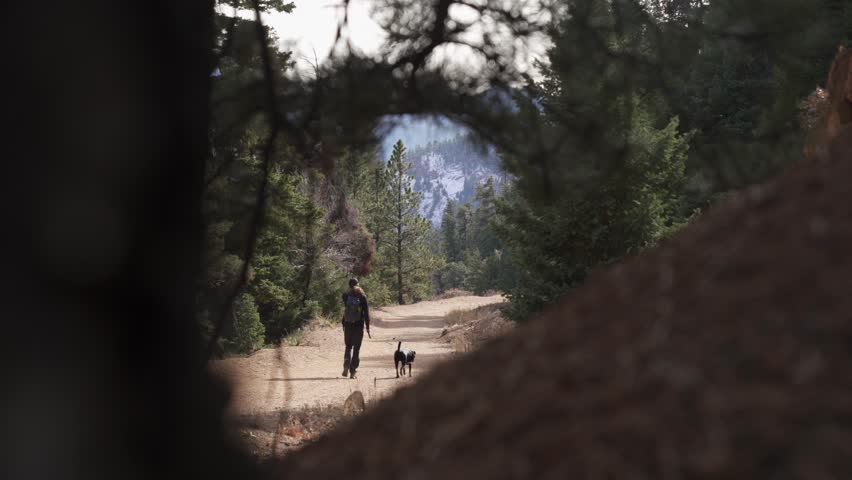Hiker with backpack walks black dog on leash on mountain forest trail
