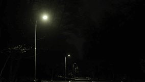 Streetlights illuminate, Nighttime park, Park streetlights. Streetlights turn on at night, illuminating the street in the park - Powered by Shutterstock - Get 15% off with code: PIKWIZARD15