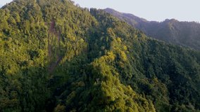 Backward aerial view of forest and hill. Flyover beautiful asian wilderness landscape - 4K Drone shot