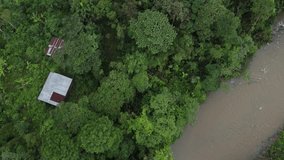 Aerial top view river in tropical amazon green rainforest. 4K drone shot.