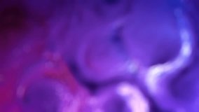 purple biological contour material abstract bokeh bg - loop video