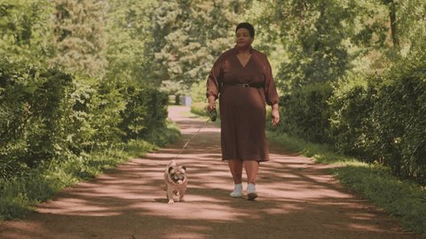 Full length slowmo of mid aged curvy Black woman walking with pug on leash on trail in park at summertime - Βίντεο στοκ