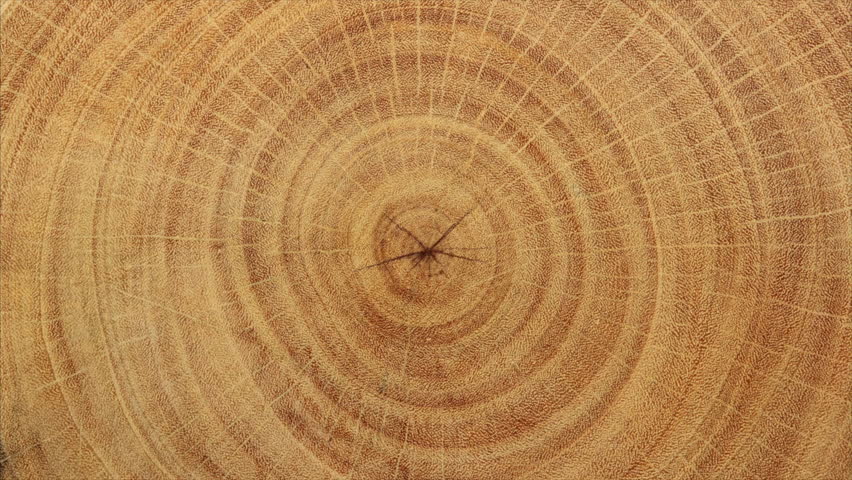 Close-up wood grain for backgrounds Royalty-Free Stock Footage #1103071941
