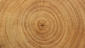 Close-up wood grain for backgrounds - Powered by Shutterstock - Get 15% off with code: PIKWIZARD15