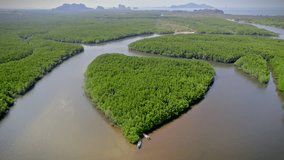 High angle video, the beauty of mangrove forest, heart-shaped island in Ban Nam Rap, Trang Province, Thailand