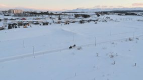 Moving to the side drone view of horse riders practicing outside during winter. Aerial shot of Reykjavik winter outdoor activity with horses. Couple spends leisure together. Mountains in background.