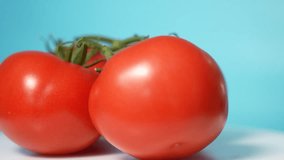 Close up view 4k video footage of green branch with many red tomatoes spinning around isolated on light blue wall background