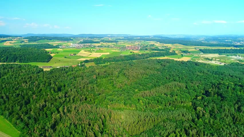 Aerial view of dense forests and green fields, beautiful natural scenery | Shutterstock HD Video #1103104917