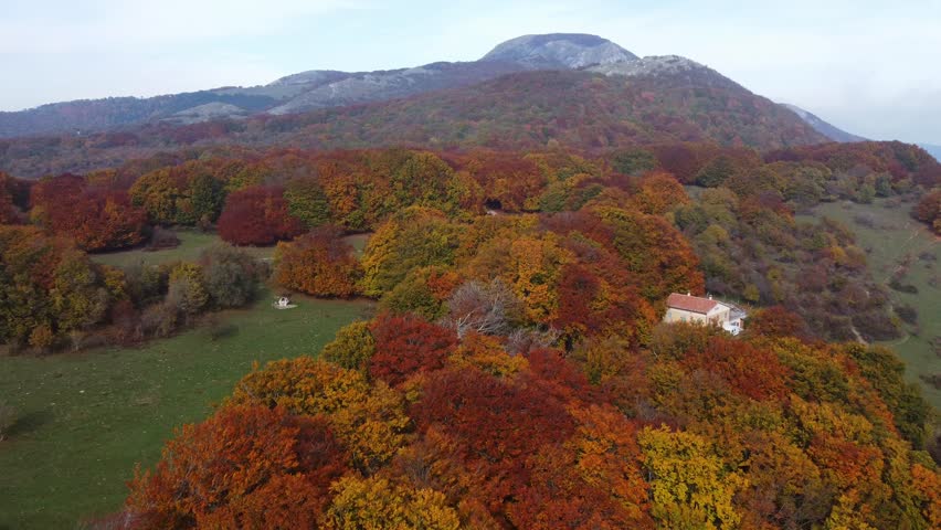AERIAL: Panoramic view of autumn foliage in the Canfaito park. Marche Region, Italy. Royalty-Free Stock Footage #1103114125