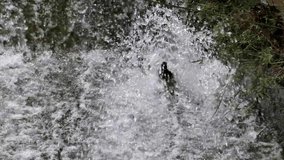 Captivating Slow-motion Footage of Waterfall Splashes: Witness the Mesmerizing Dance of Droplets and Ripples