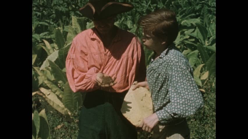 1950s: Man shovels coal into stove, closes door. Field of tobacco, man wears tricorne hat, plucks, examines leaf with boy. Man picks up handful of soil. Wooden box with hand crank.