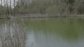Shot of carp fishing pond in Norfolk, UK. Fishing on the lake with fishing rods on a sunny day. - Powered by Shutterstock - Get 15% off with code: PIKWIZARD15