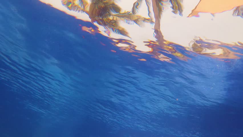 Palm trees viewed from inside a pool under the water ripples - Slow Motion