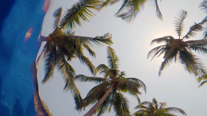 Palm trees viewed from inside a pool under the water ripples - Slow Motion