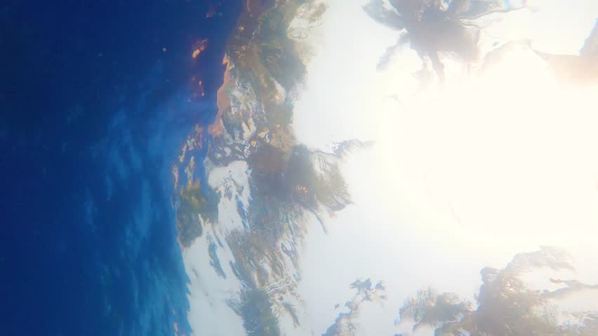 Palm trees viewed from inside a pool under the water ripples - Slow Motion