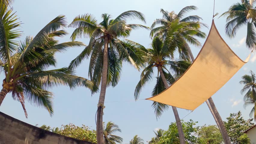 Palm trees viewed from inside a pool under the water ripples - Slow Motion