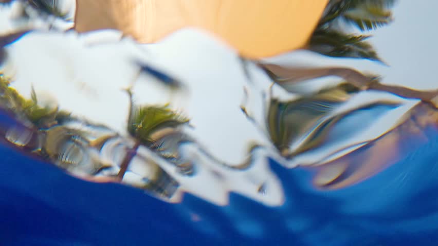 Palm trees viewed from inside a pool under the water ripples - Slow Motion