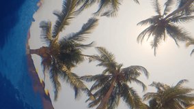 Palm trees viewed from inside a pool under the water ripples - Slow Motion