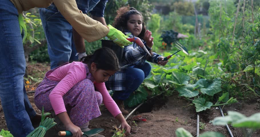 Indian family having fun together sowing new vegetable plants from house garden outdoor - Vegetarian, healthy food and education concept 