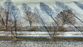 Aerial view, country lane with trees in winter