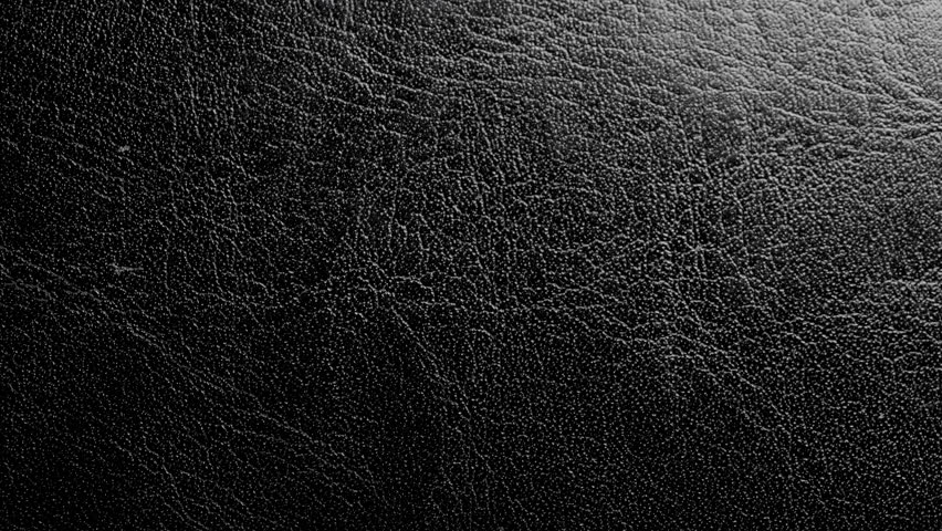 Black Leather Texture - Free Stock Photo by Free Texture Friday on