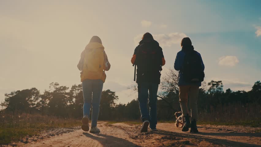 Business. group of hikers walk go forest park silhouette. business journey travel concept. hikers walk silhouette at sunset. team lifestyle hikers walk park with backpacks | Shutterstock HD Video #1103168697