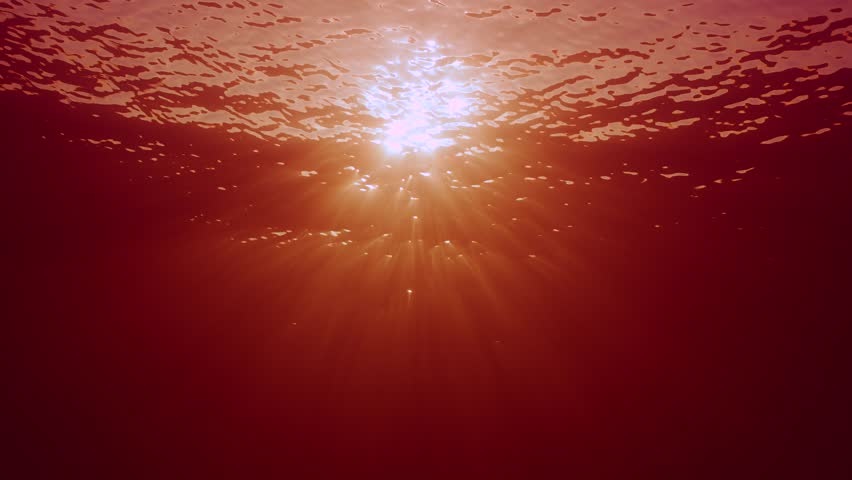 Slow motion, Sunbeams fall into depth bloody red sea. Sun rays creates beautiful veil, consisting of sunlight in red water. Ocean waves oscillate and sunshine illuminate red water, Red Euglena blooms