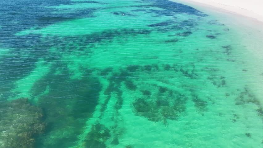 Hamelin Beach in Western Australia is a hidden gem that boasts some of the most crystal-clear waters in the world. As you explore the shoreline, you might even come across a friendly stingray.