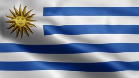 3D animation loop Uruguay flag - Powered by Shutterstock - Get 15% off with code: PIKWIZARD15
