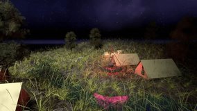 3D Video: Campfire at Night