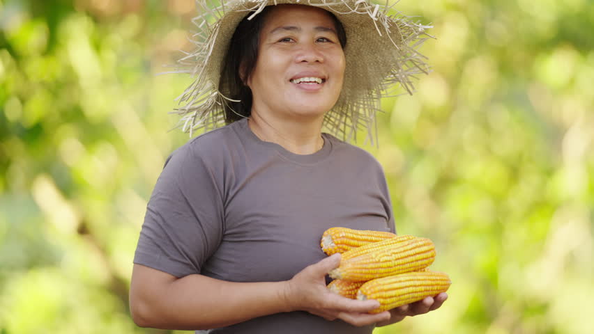 Portrait of asian woman with corn in hands, farm work, contentment and success
