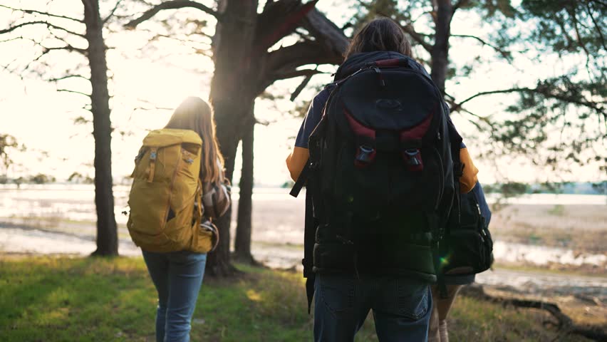 Group of tourists go hiking in nature in forest. Tall trees and water flowing through forest. Hiking in park in summer. Family rest picnic in forest. Happy family walks in forest. Active lifestyle