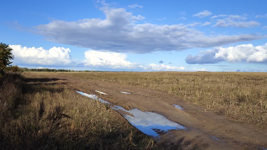In the fall, after the rain, the puddles on the country road reflected the blue sky with clouds. There were tire tracks on the wet ground. All around were mowed cornfields with a forest on the horizon