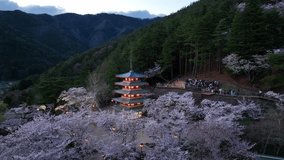 aerial view of famous Chureito pagoda in the evening with cherry trees in bloom, buddhist temple in Japan in spring in the mountains at night.  - Powered by Shutterstock - Get 15% off with code: PIKWIZARD15