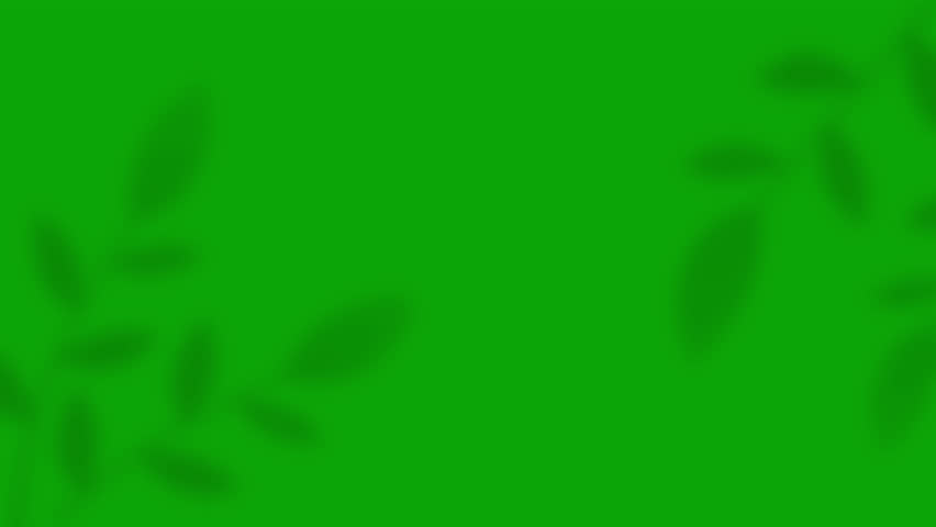 Plant Shadow on a green screen. Boho-style plant shadow. Abstract, minimalist background with Plant silhouettes. 4K video Royalty-Free Stock Footage #1103226129