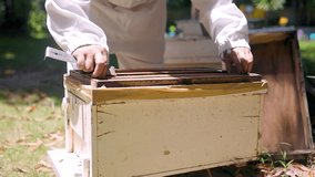A bee farmer, checking bees, 3 video clips in a row