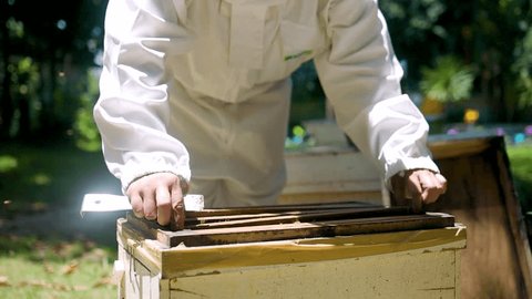 A bee farmer, checking bees, 3 video clips in a row Video de stock