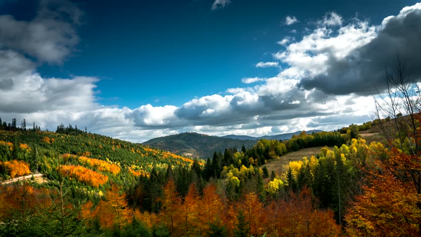 Beautiful colors of autumn mountains.