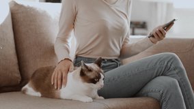 Comfortable life with pet. Young unrecognizable lady web surfing on smartphone online and caressing her fluffy cat, resting on sofa at home, slow motion, empty space - Powered by Shutterstock - Get 15% off with code: PIKWIZARD15
