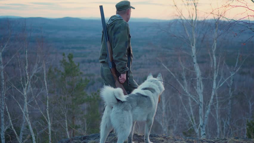 A hunter with a gun and a dog stands on top of a mountain. The hunter is looking for prey. Hunting in the forest.