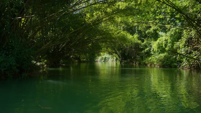 Rafting the Martha Brae River