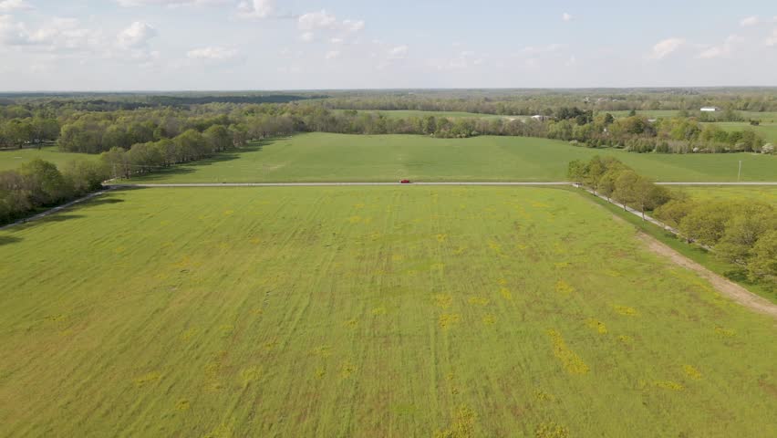 4k Aerial Drone Flyover of Fallow Field with Grass and Flowers. Horizon visible