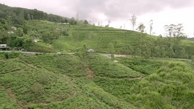 Bright green fields of tea plantations on the hills and villages nearby