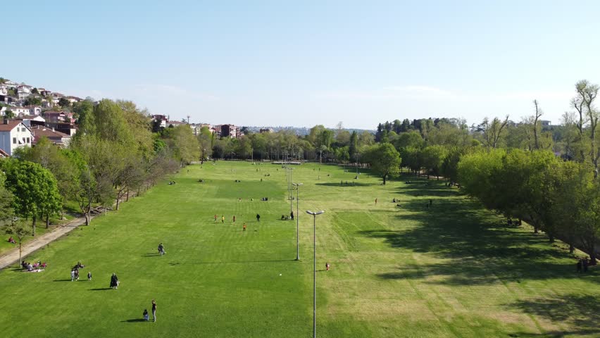 Wide park grass area drone view